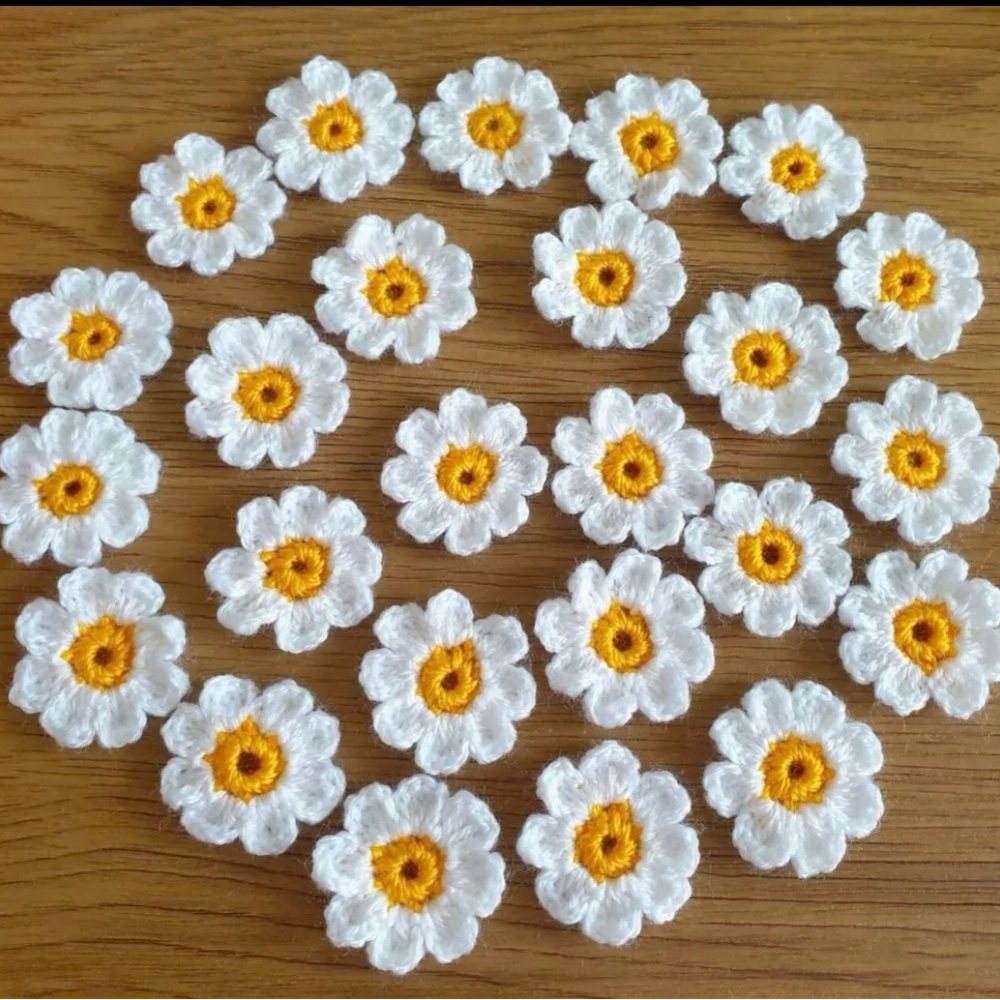 Set Crochet 8  Daisy Flowers Applique Embellishment